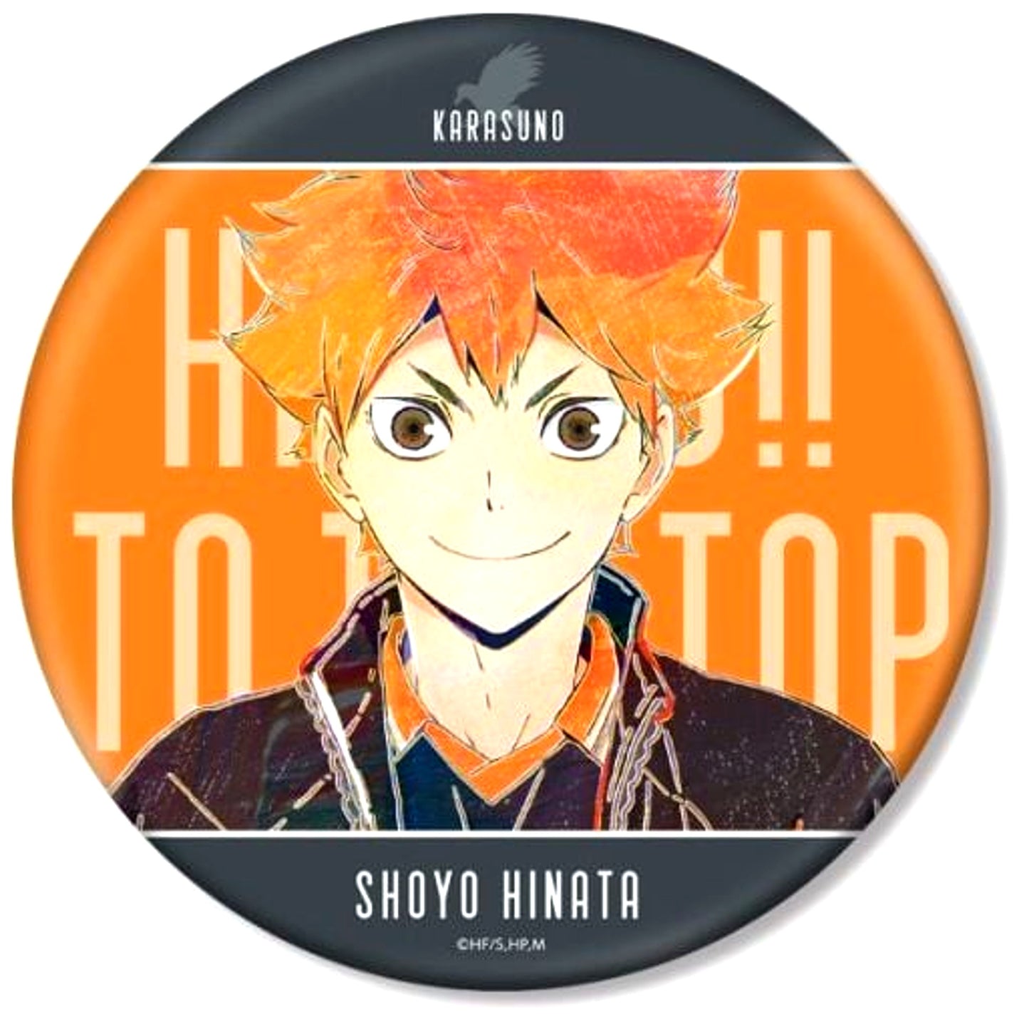 Shoyo Hinata Haikyu!! TO THE TOP Ani-Art Vol. 5 BIG Button [USED]