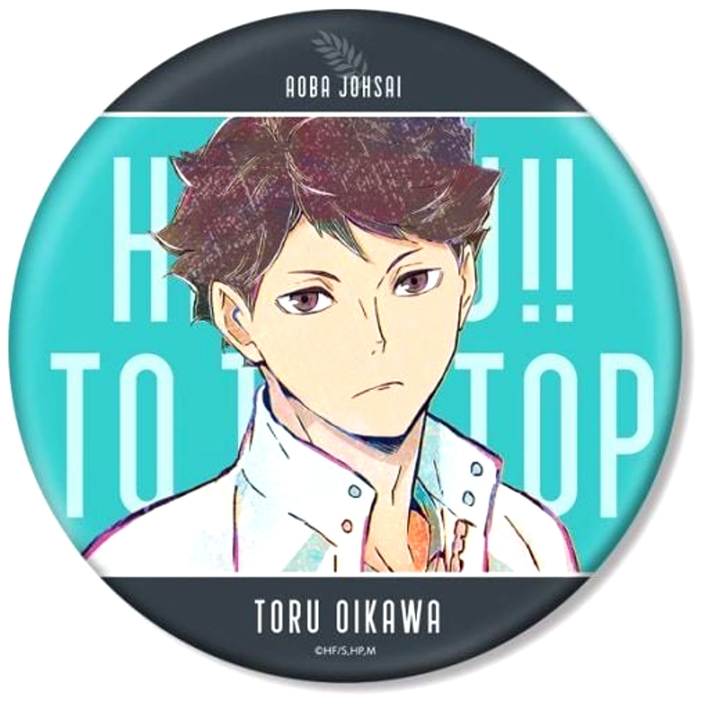 Tooru Oikawa Haikyu!! TO THE TOP Ani-Art 5th BIG Button [USED]