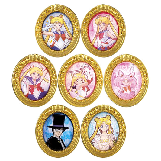 Sailor Moon Sailor Moon & Others Otome no Assort Collection 2 Picture Frame Pins Prize C All 7 Types Set Pins [USED]