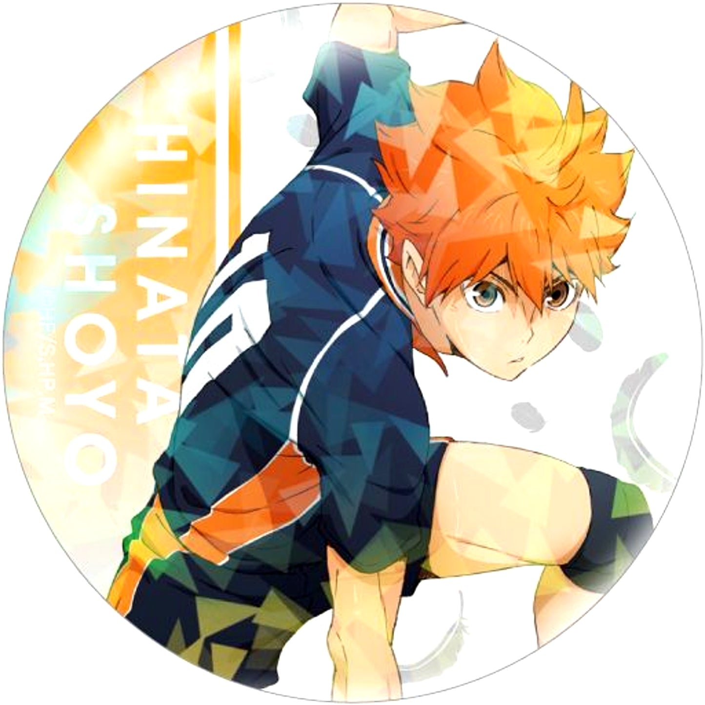 Shoyo Hinata Haikyu!! Trading Hologram Button [USED]