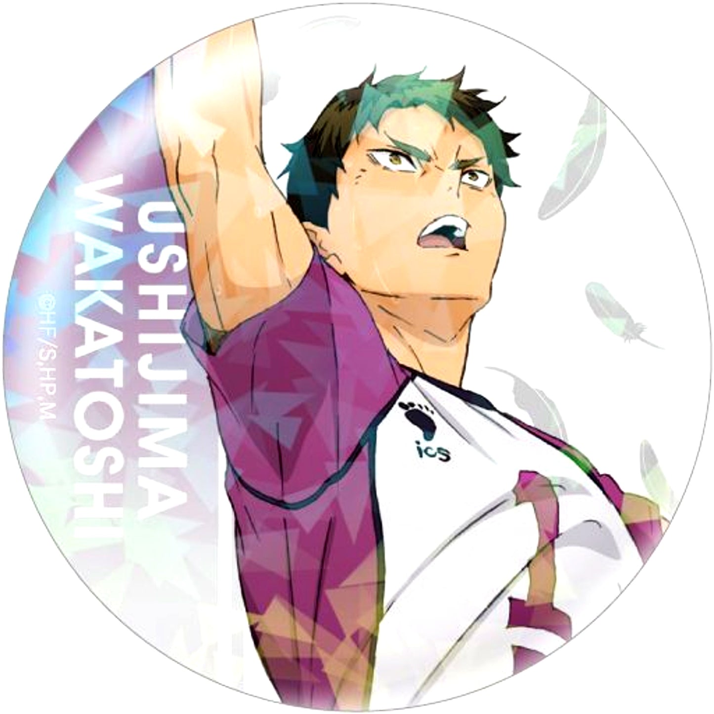 Wakatoshi Ushijima Haikyu!! Trading Hologram Button [USED]