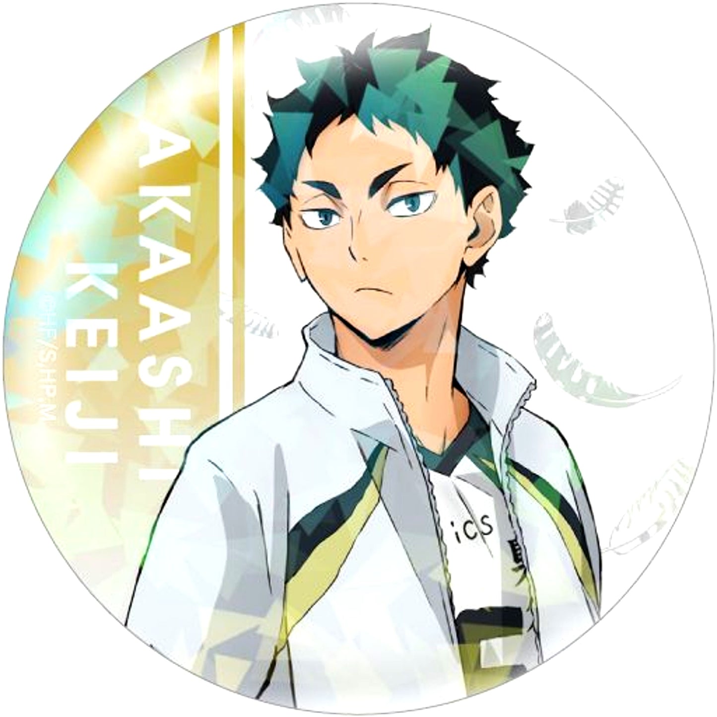 Keiji Akaashi Haikyu!! Trading Hologram Button [USED]