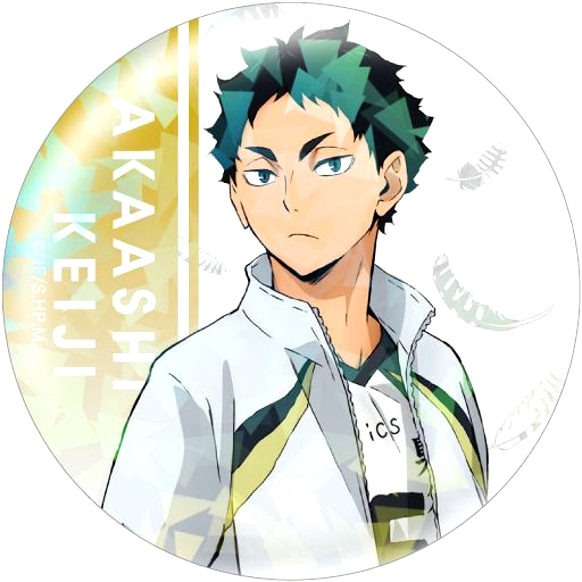 Keiji Akaashi Haikyu!! Trading Hologram Button [USED]