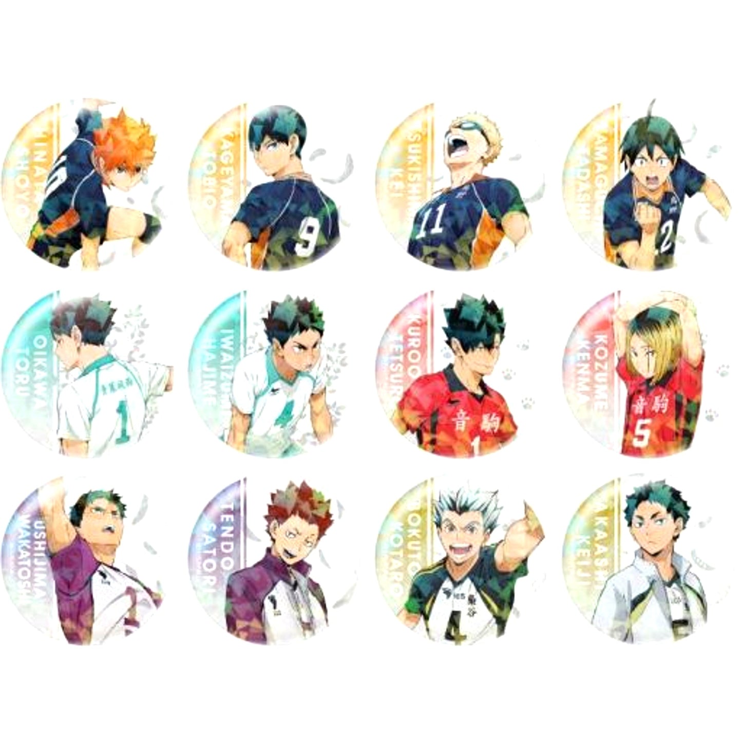 Set of 12 Haikyu!! Trading Hologram Button [USED]