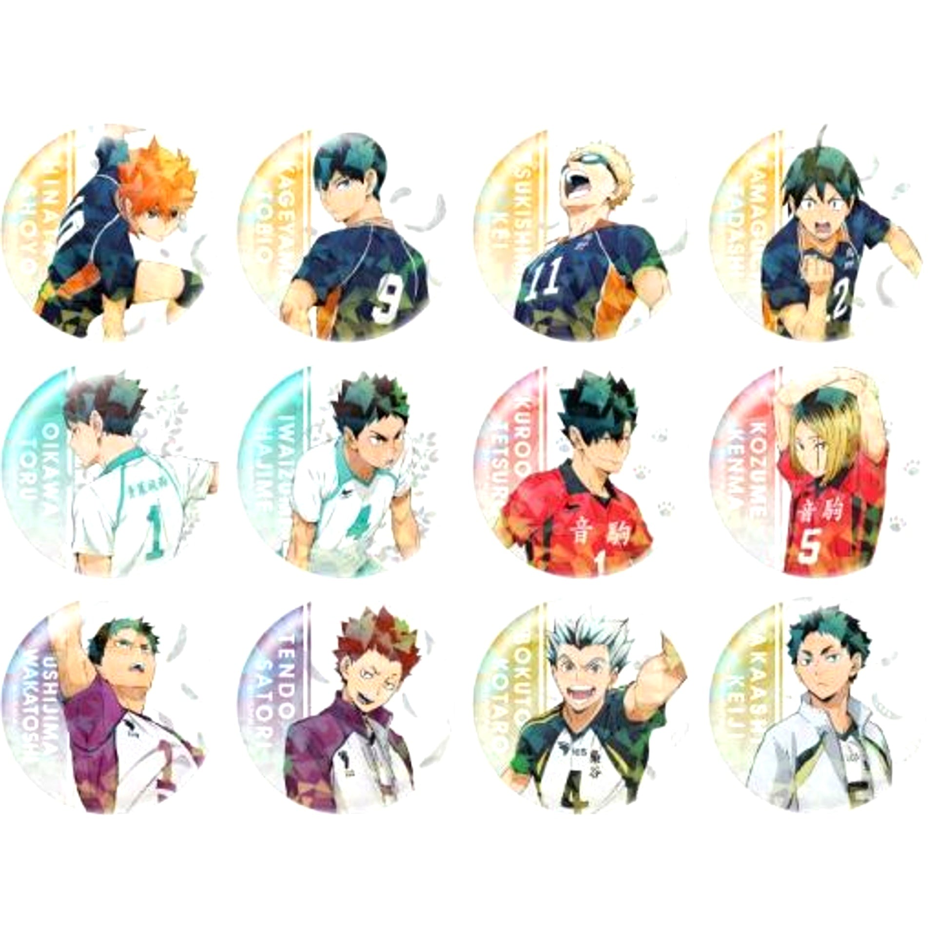 Set of 12 Haikyu!! Trading Hologram Button [USED]