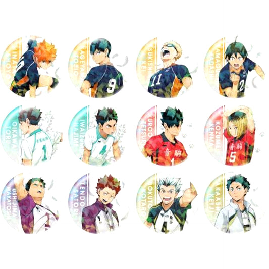 Set of 12 Haikyu!! Trading Hologram Button [USED]