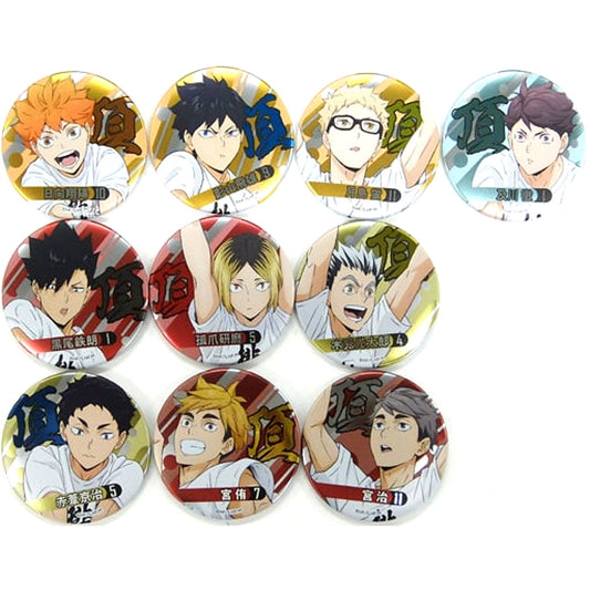 Set of 10 Haikyu!! Button Decoration Specification Joint Practice 2021 [USED]