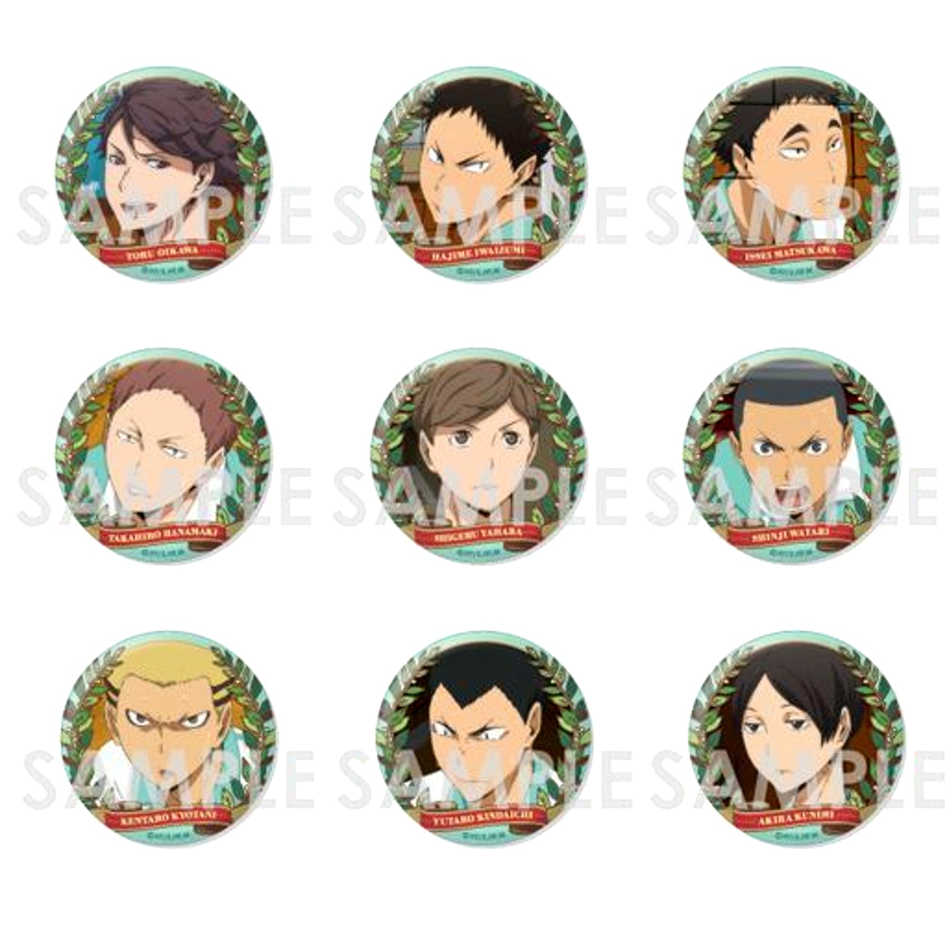 Set of 9 Haikyu!! Trading Button Aoba Johsai Selection [USED]