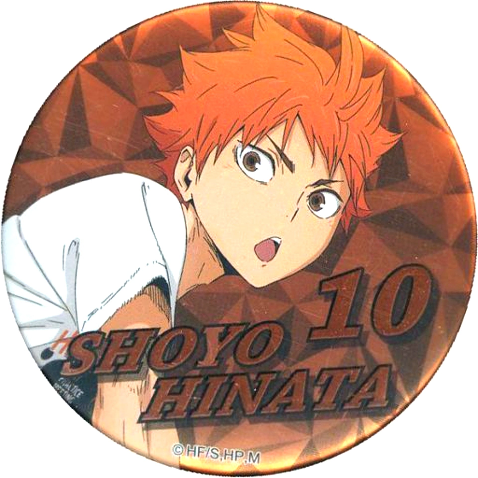 Shoyo Hinata Haikyu!! Joint Practice 2020 Button Decoration Spec [USED]