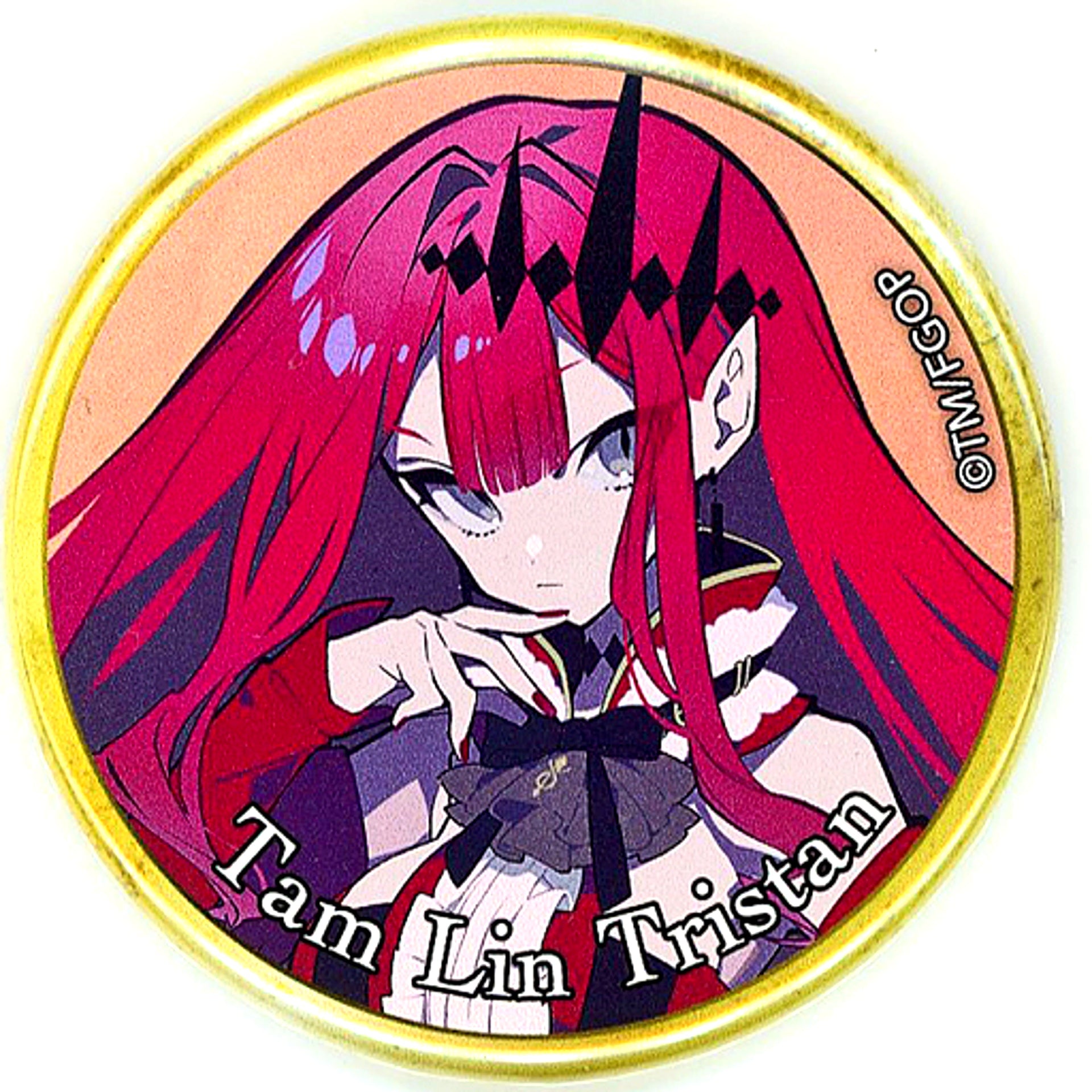 Archer Baobhan Sith Fate/Grand Order Heroic Spirit Summoning Button Vol.9 AnimeJapan 2022 Goods [USED]