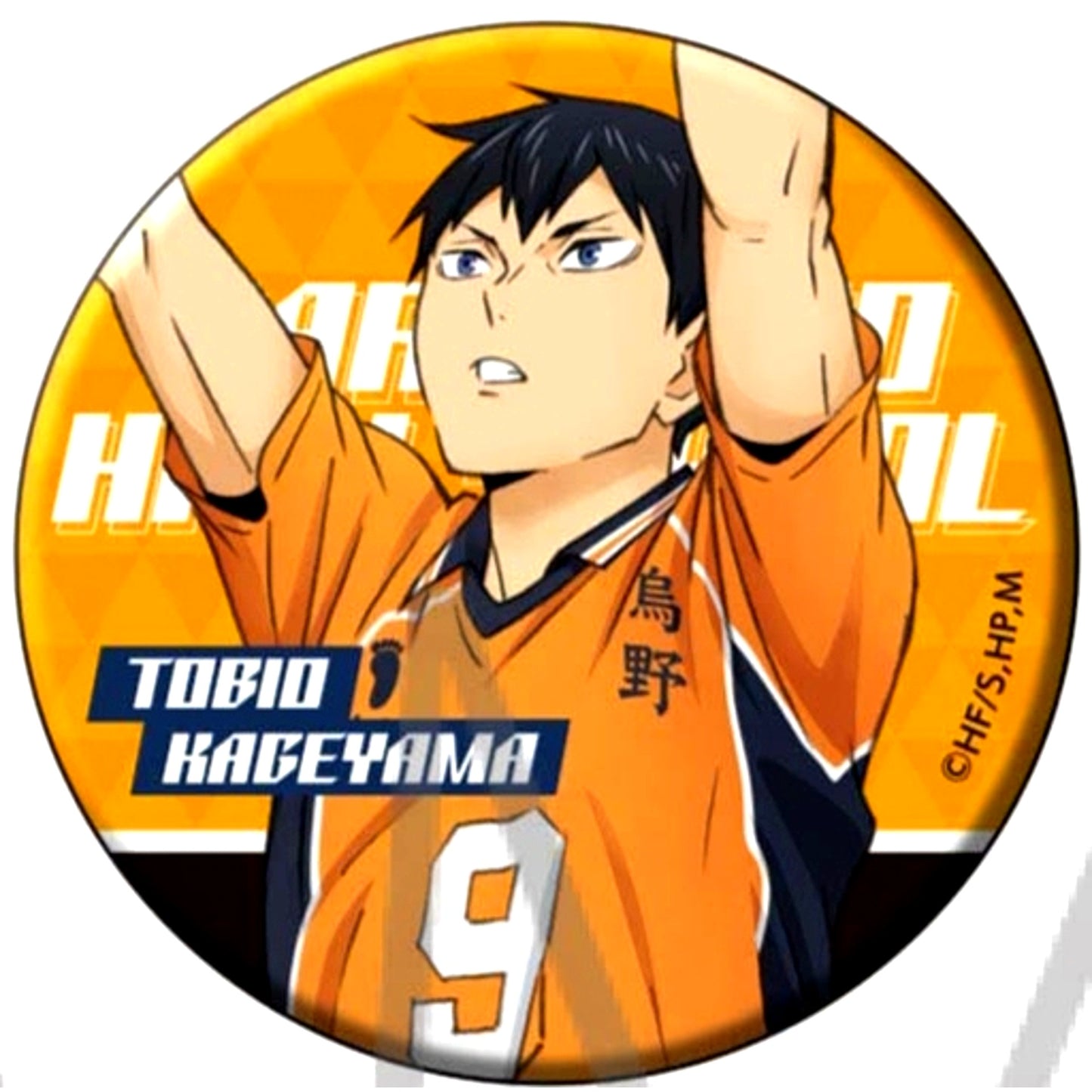 Tobio Kageyama Haikyu!! TO THE TOP Character Badge Collection [USED]