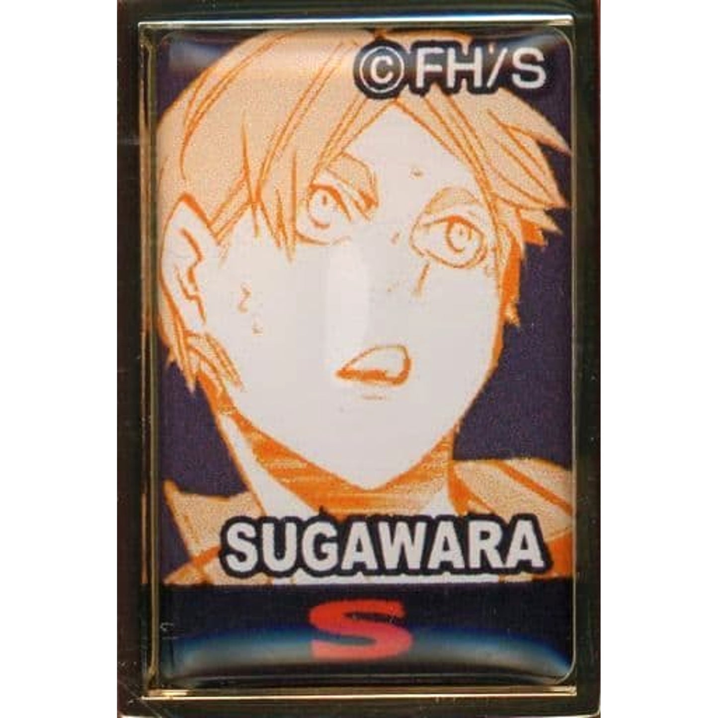 Haikyu!! Koushi Sugawara 5th Anniversary Order Pins Karasuno High School Pins [USED]