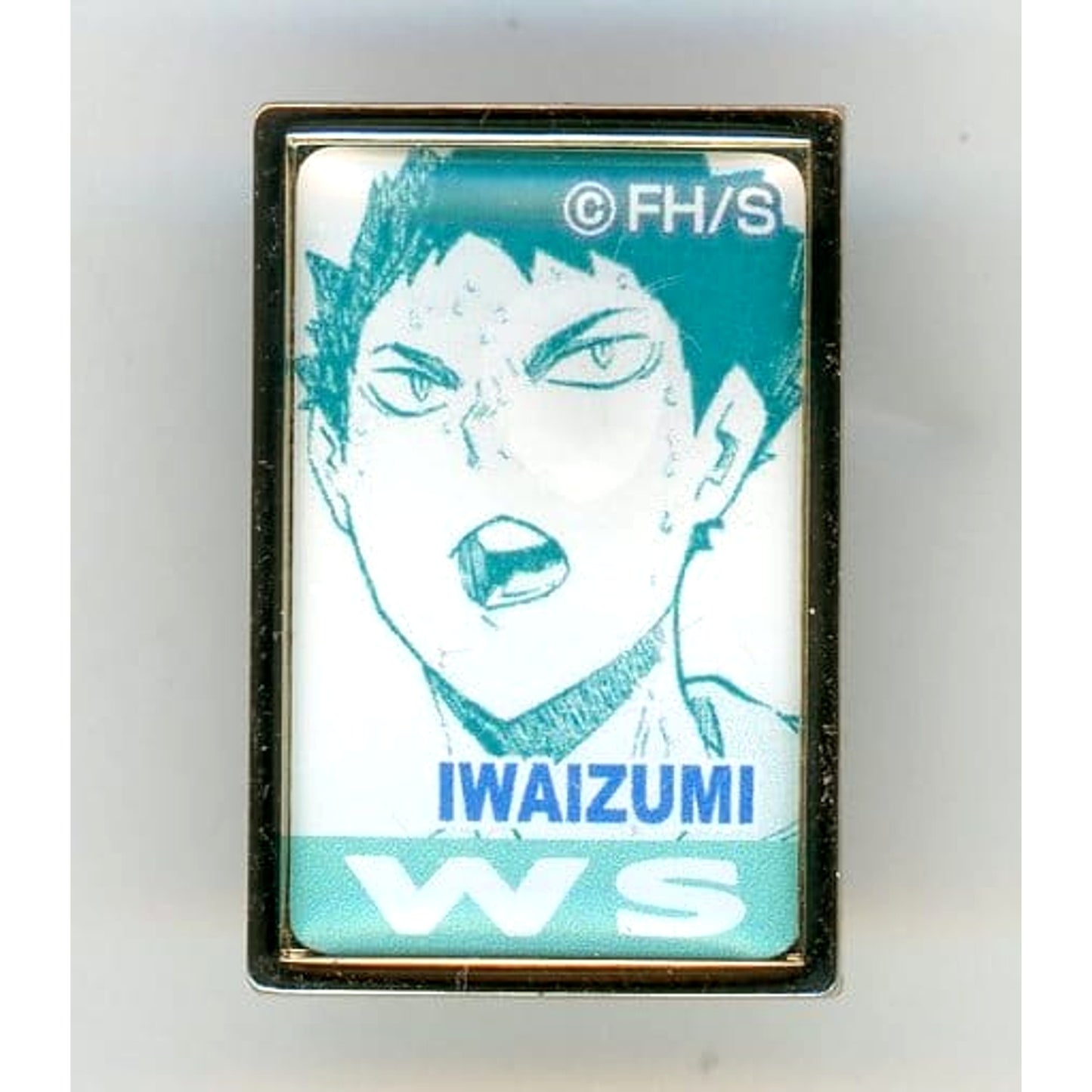 Haikyu!! Hajime Iwaizumi 5th Anniversary Order Pins Aobajosai High School Pins [USED]