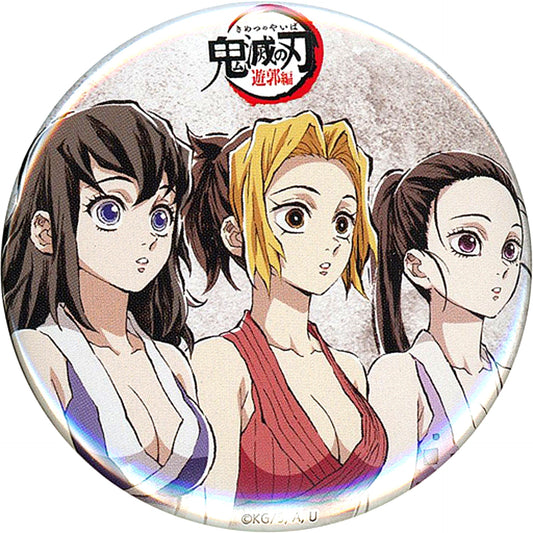 Hinatsuru & Makio & Suma Demon Slayer: Kimetsu no Yaiba Intermission Drawing Eyecatch Random Button 1 Zen-Shuchu Exhibition -Mugen Train Arc Entertainment District Arc- [USED]