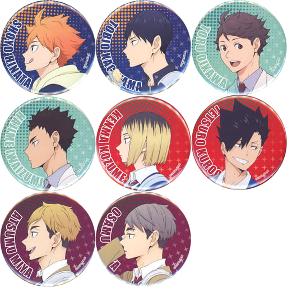 Haikyu!! Shoyo Hinata & Others Chokotto Kuji Can Badge Prize E All 8 Types Set Buttons [USED]
