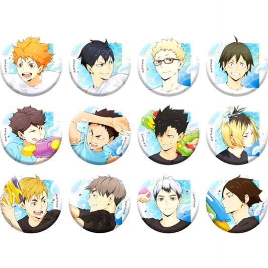 Set of 12 Haikyu!! Trading Button TO THE TOP [USED]