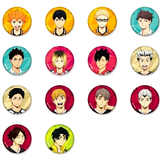 Set of 14 Haikyu!! Trading Button TO THE TOP [USED]