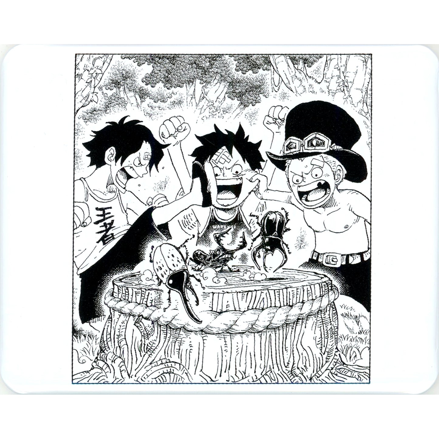 Monkey D. Luffy Portgas D. Ace Sabo One Piece Character Button Collection Piece of Memoir Nozomi [USED]