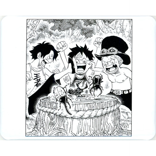 Monkey D. Luffy Portgas D. Ace Sabo One Piece Character Button Collection Piece of Memoir Nozomi [USED]