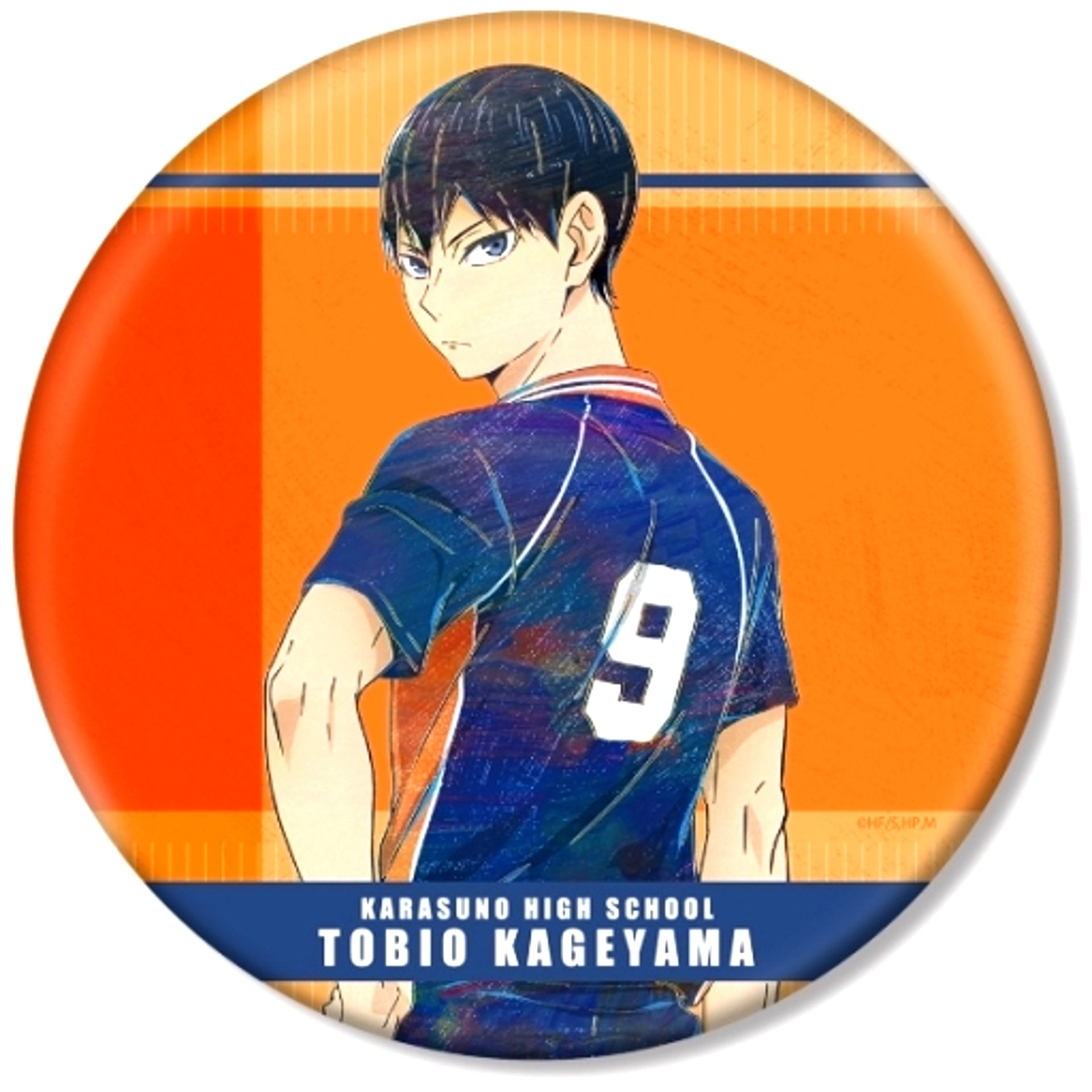 Tobio Kageyama Haikyu!! Ani-Art Vol. 7 BIG Button [USED]