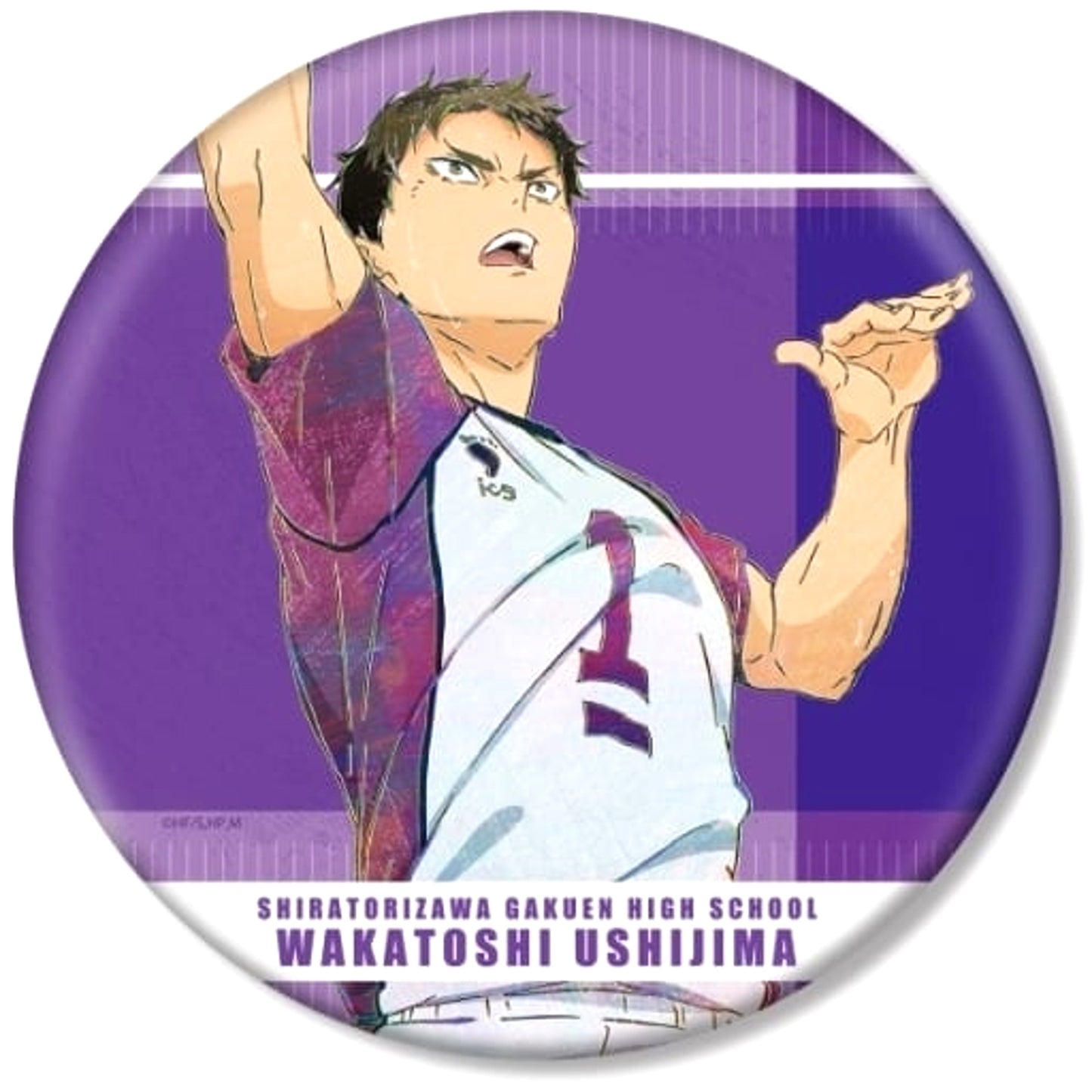 Wakatoshi Ushijima Haikyu!! Ani-Art BIG Button Part 7 [USED]
