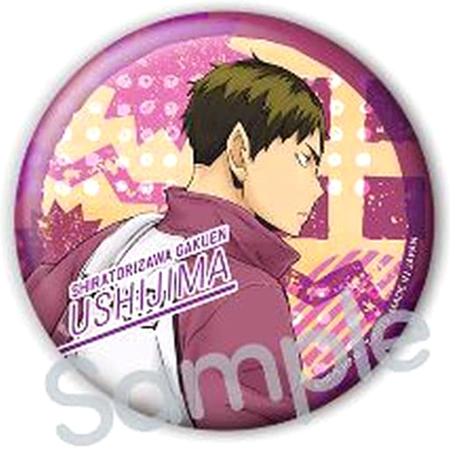 Wakatoshi Ushijima Haikyu!! Color Palette Going to School Button [USED]