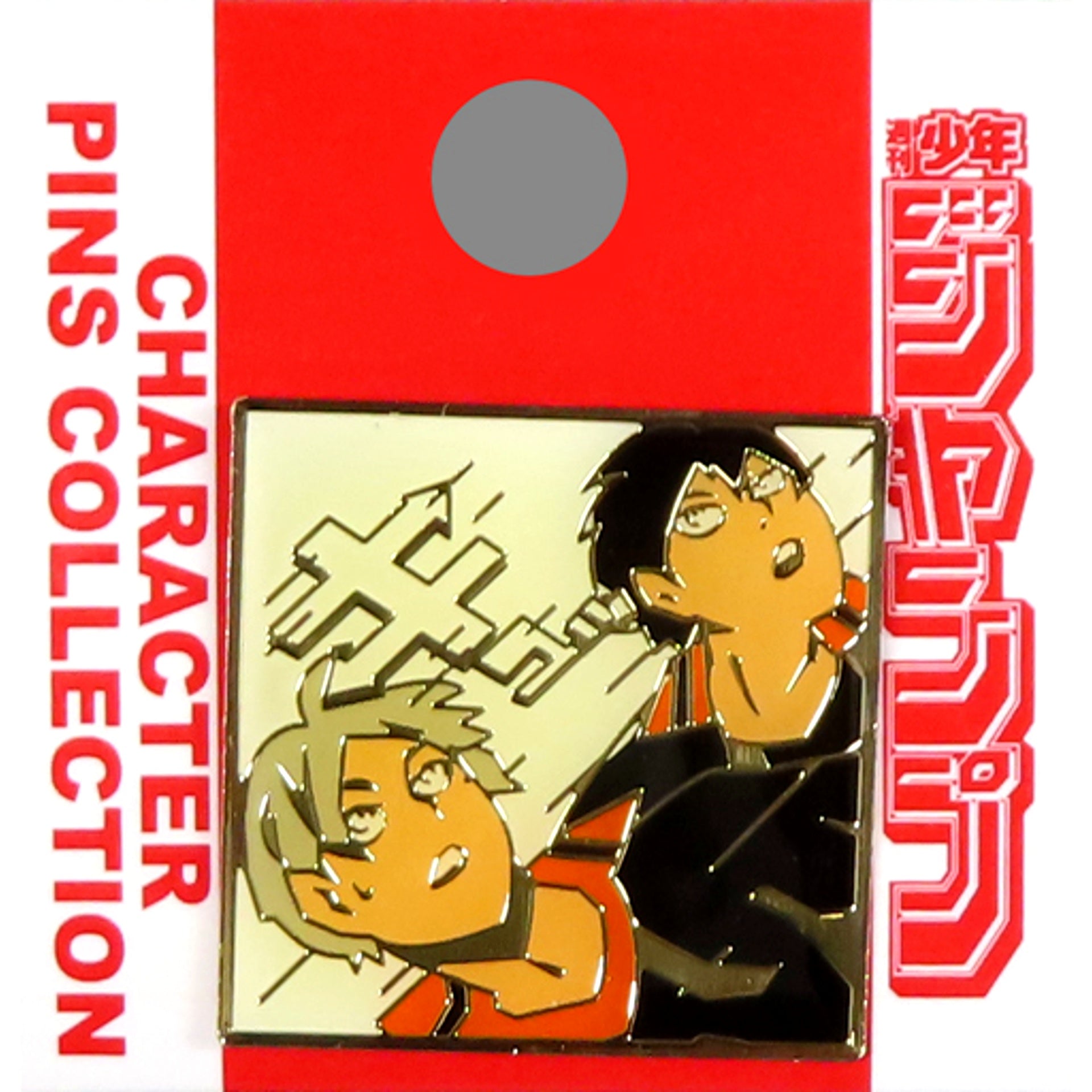 Sugawara & Kageyama Haikyu!! Pins 2015 Summer [USED]
