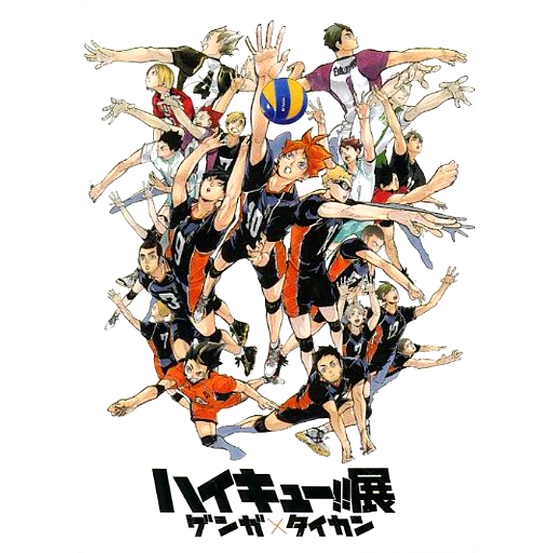 All Characters Haikyu Exhibition Genga x Taikan Square Button Admission Ticket with Goods Bonus [USED]