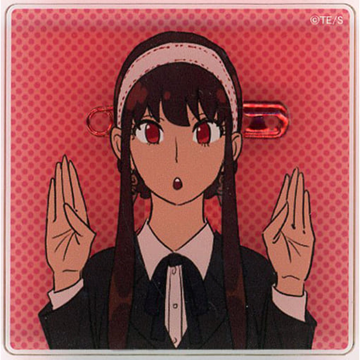 SPY x FAMILY Yor Forger Acrylic Badge Collection Spy X Family Exhibition Limited Buttons [USED]