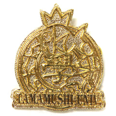 Pokemon Magikarp Lapel Pin Tamamushi University Hyper Doctoral Examination Distribution Items Buttons [USED]