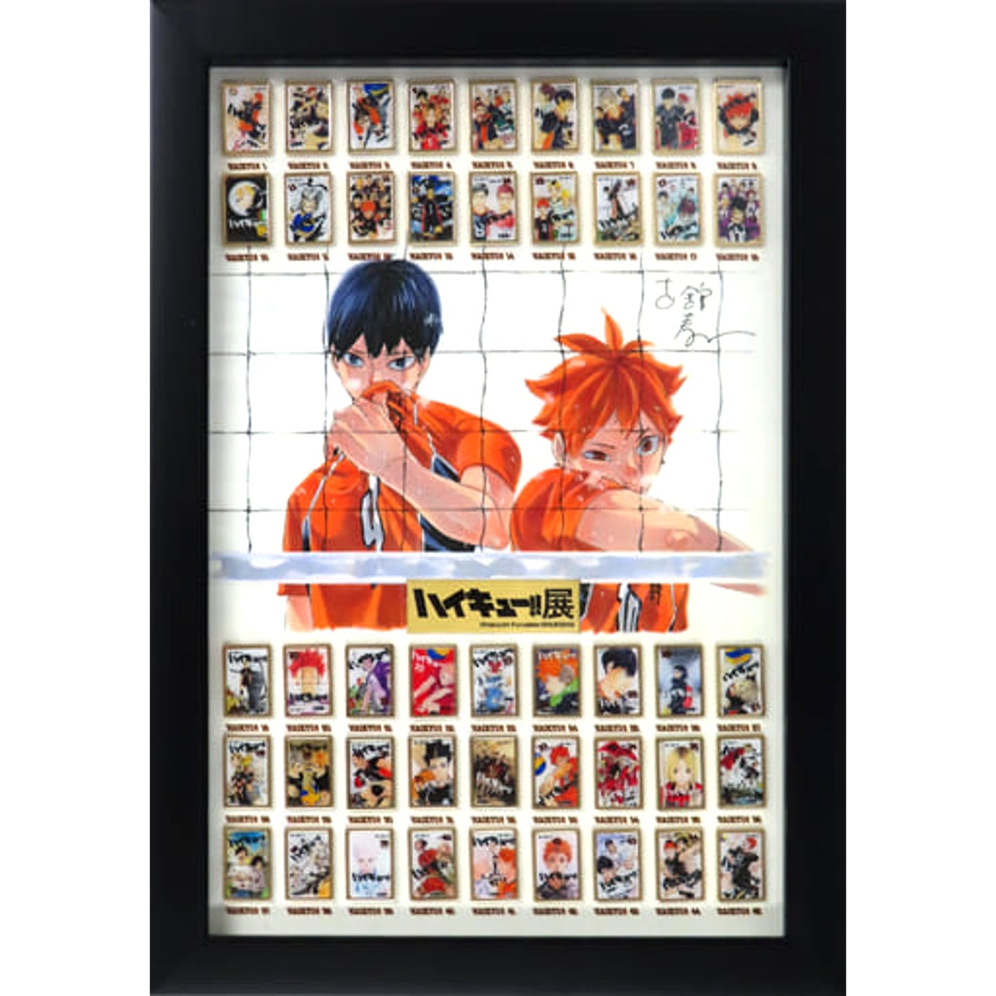 Haikyu!! Shoyo Hinata Complete Comics Pins Set Haikyu!! Exhibition Limited Made-to-Order Limited Pins [USED]