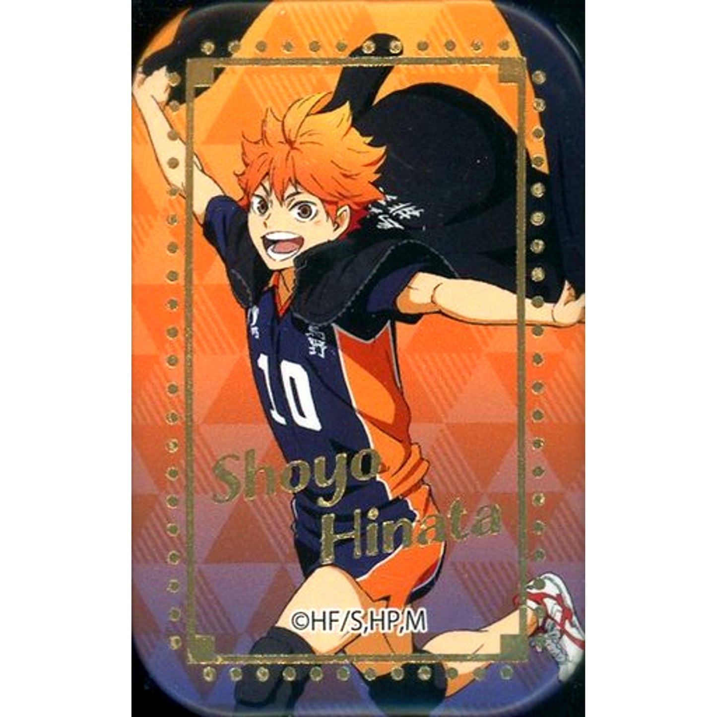 Shoyo Hinata Haikyu Square Button Banner Illustration A [USED]