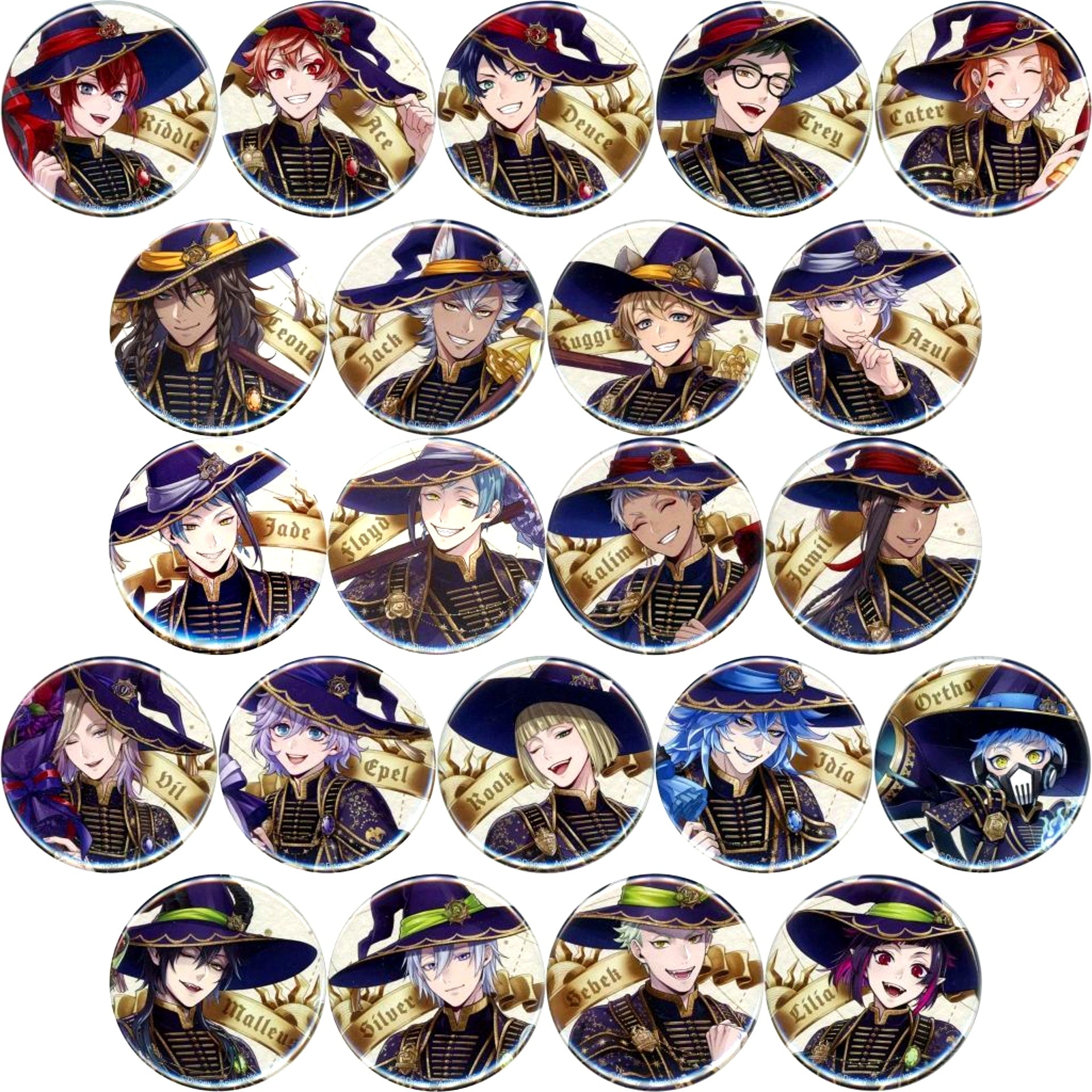 Set of 22 Disney Twisted-Wonderland Premium Birthday 2023 Button Collection Bloom Birthday Ver. POP UP SHOP in animate [USED]