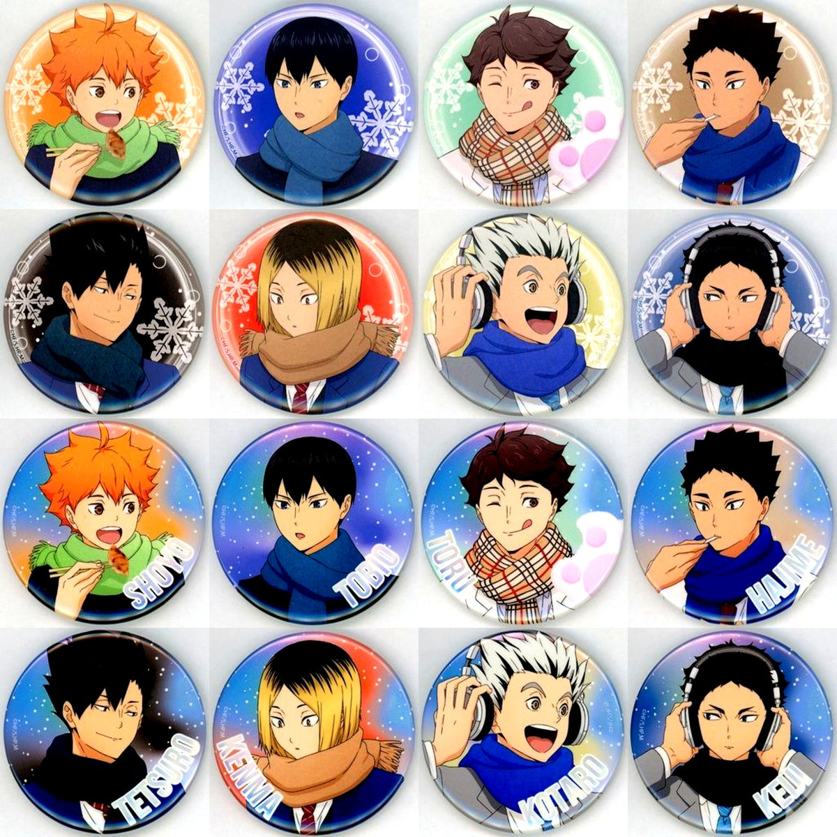 Set of 16 Haikyu!! Asobitsukuse!! in Namjatown winter version Button Collection [USED]