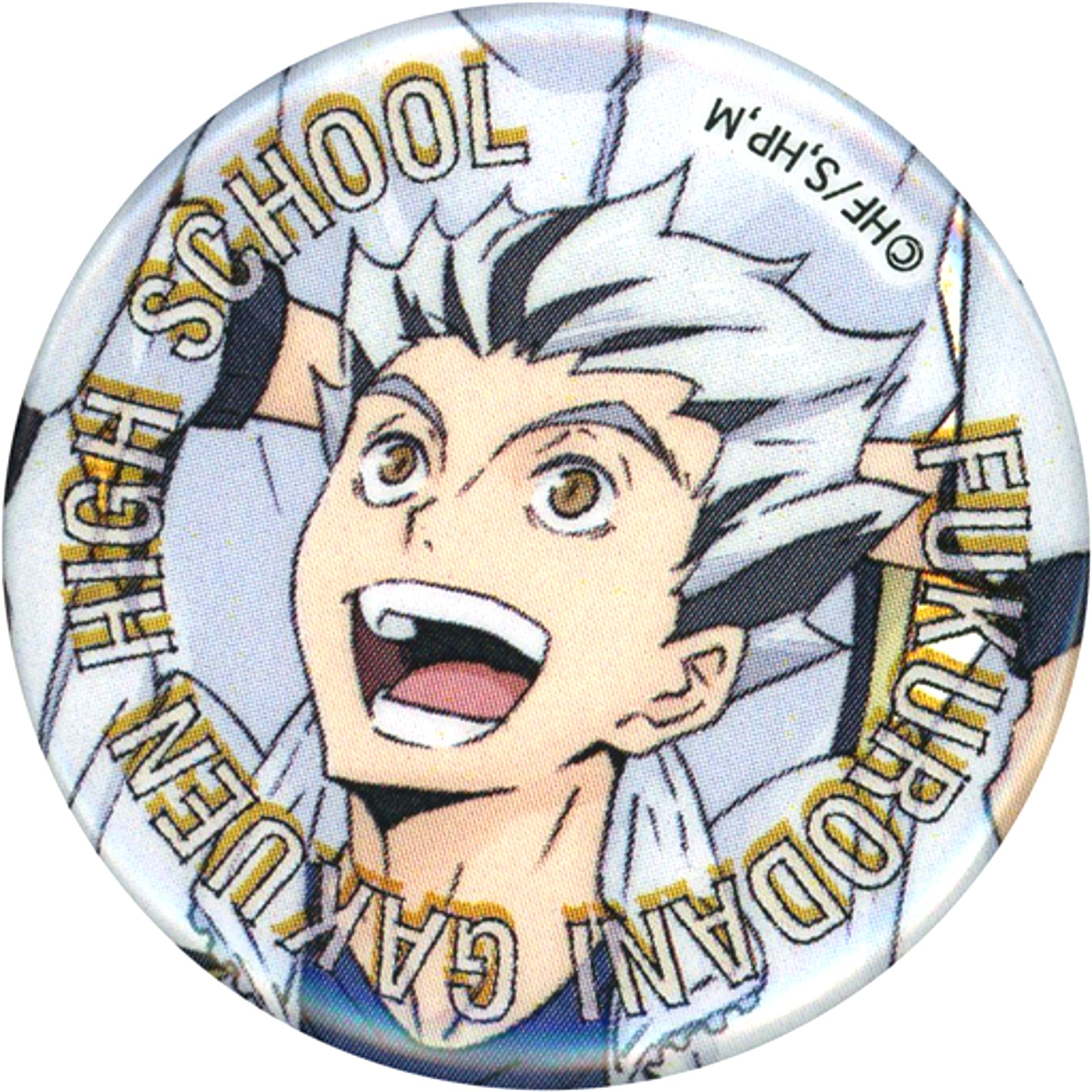 Kotaro Bokuto Warming Up!! Haikyu!! Button [USED]