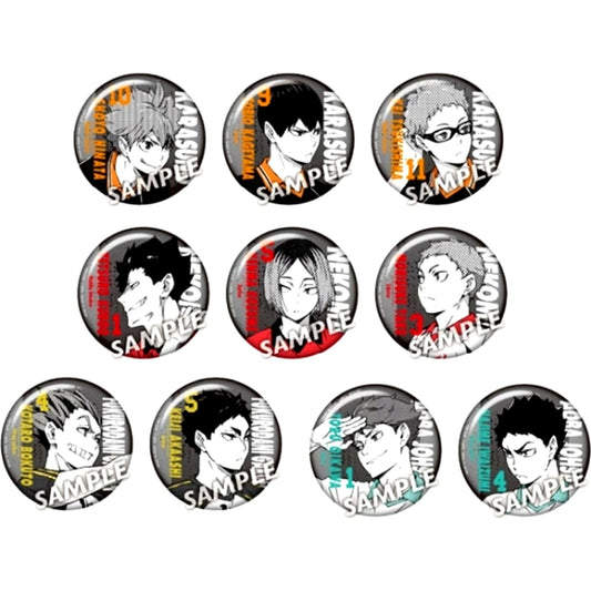 Set of 10 Haikyu!! Color Palette Portrait Trading Button [USED]