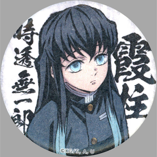 Muichiro Tokito Single Demon Slayer Hashira Meeting Butterfly Mansion Arc Washi Button [USED]