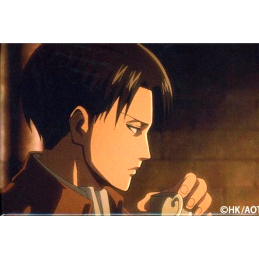 042. Levi Ackerman - Teacup / Horizontal 100 Views of Levi Badge Attack on Titan [USED]