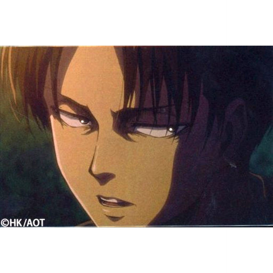 036. Levi Ackerman - Face Close-up / Horizontal 100 Views of Levi Badge Attack on Titan [USED]