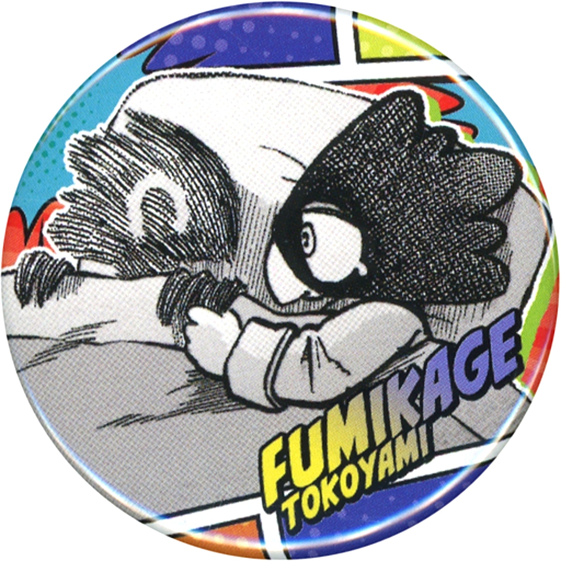 Fumikage Tokoyami My Hero Academia Collection Button Petit Childhood [USED]