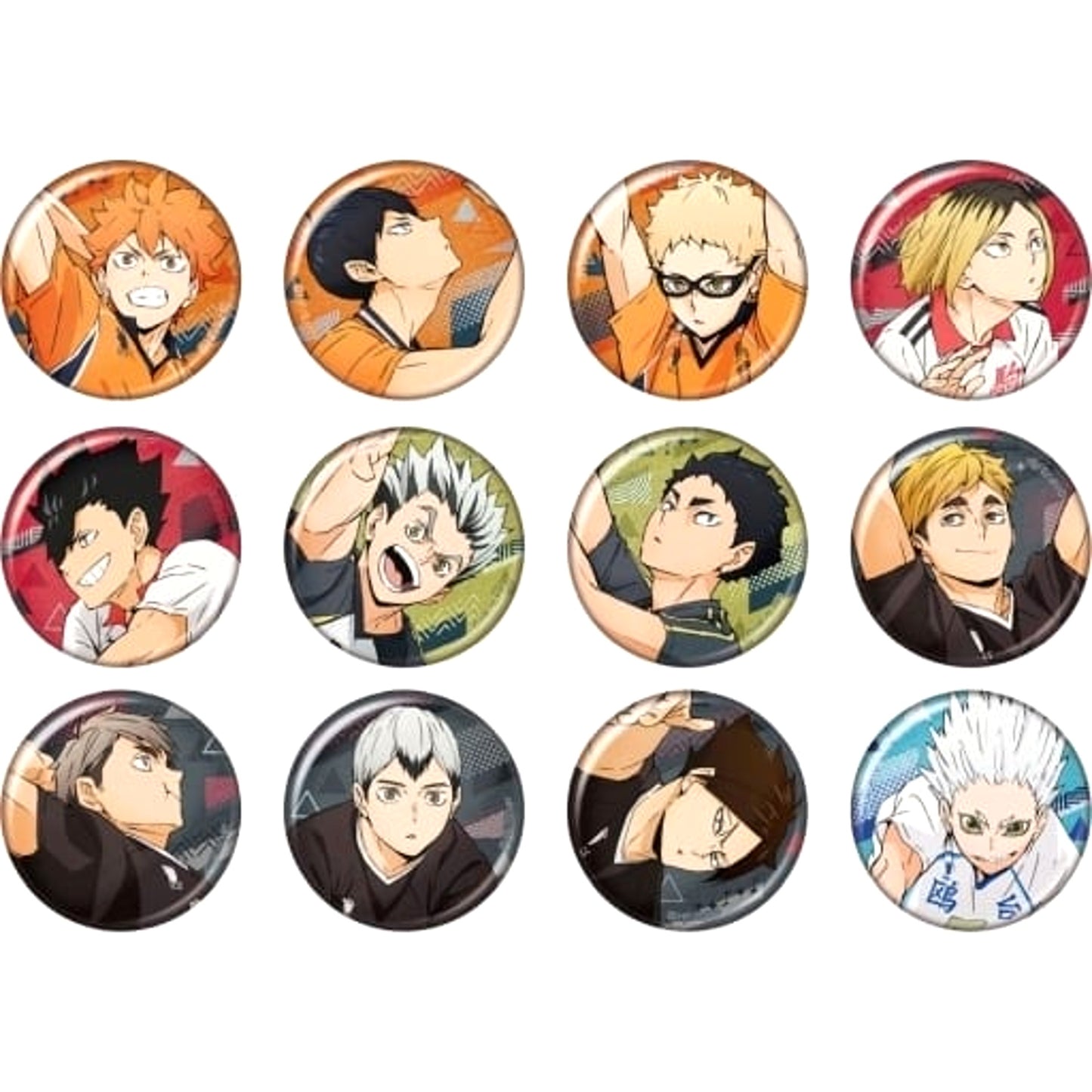 Shoyo Hinata & Others Haikyu!! All 12 Types Set Glitter Button Collection [USED]
