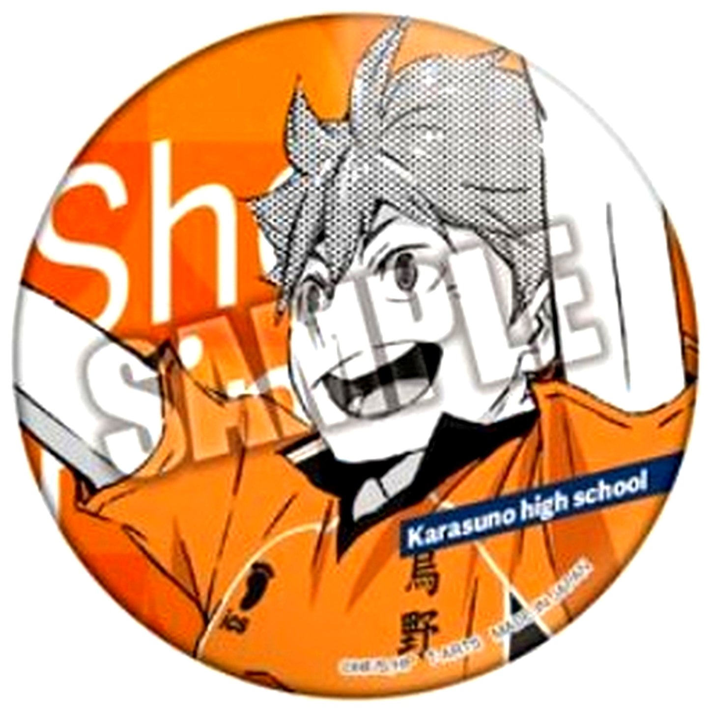 Shoyo Hinata Haikyu!! Jump! Button Color Palette [USED]