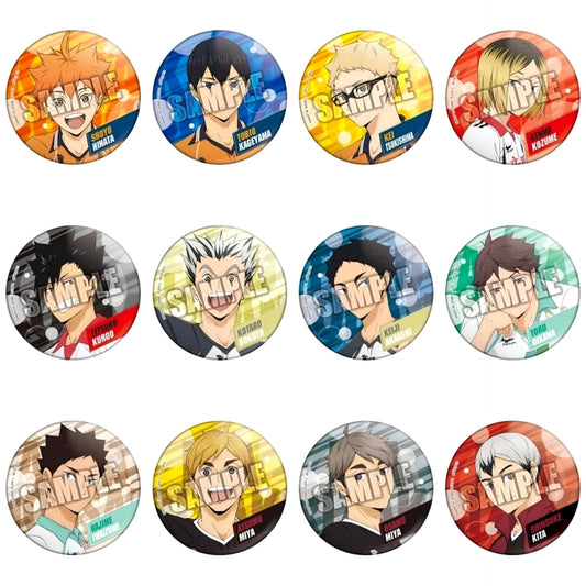 Tobio Kageyama & Others Haikyu!! All 12 Types Set Color Palette School Object Button [USED]