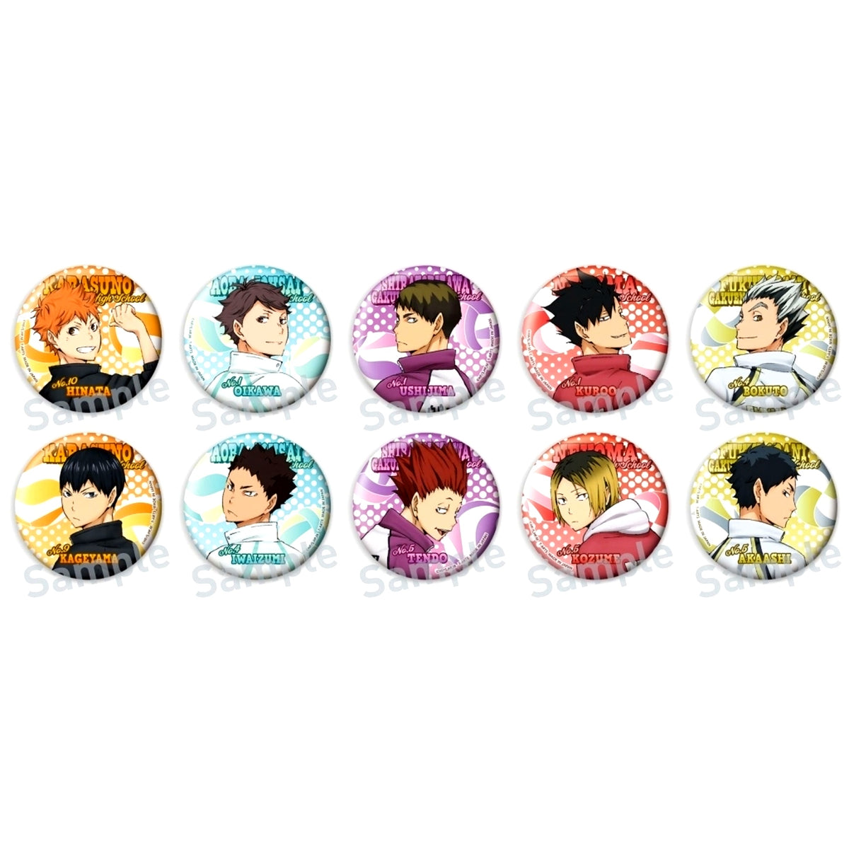 Set of 10 Haikyu!! Color Palette Looking Back Button [USED]