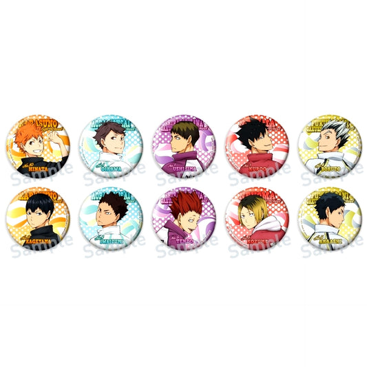 Set of 10 Haikyu!! Color Palette Looking Back Button [USED]