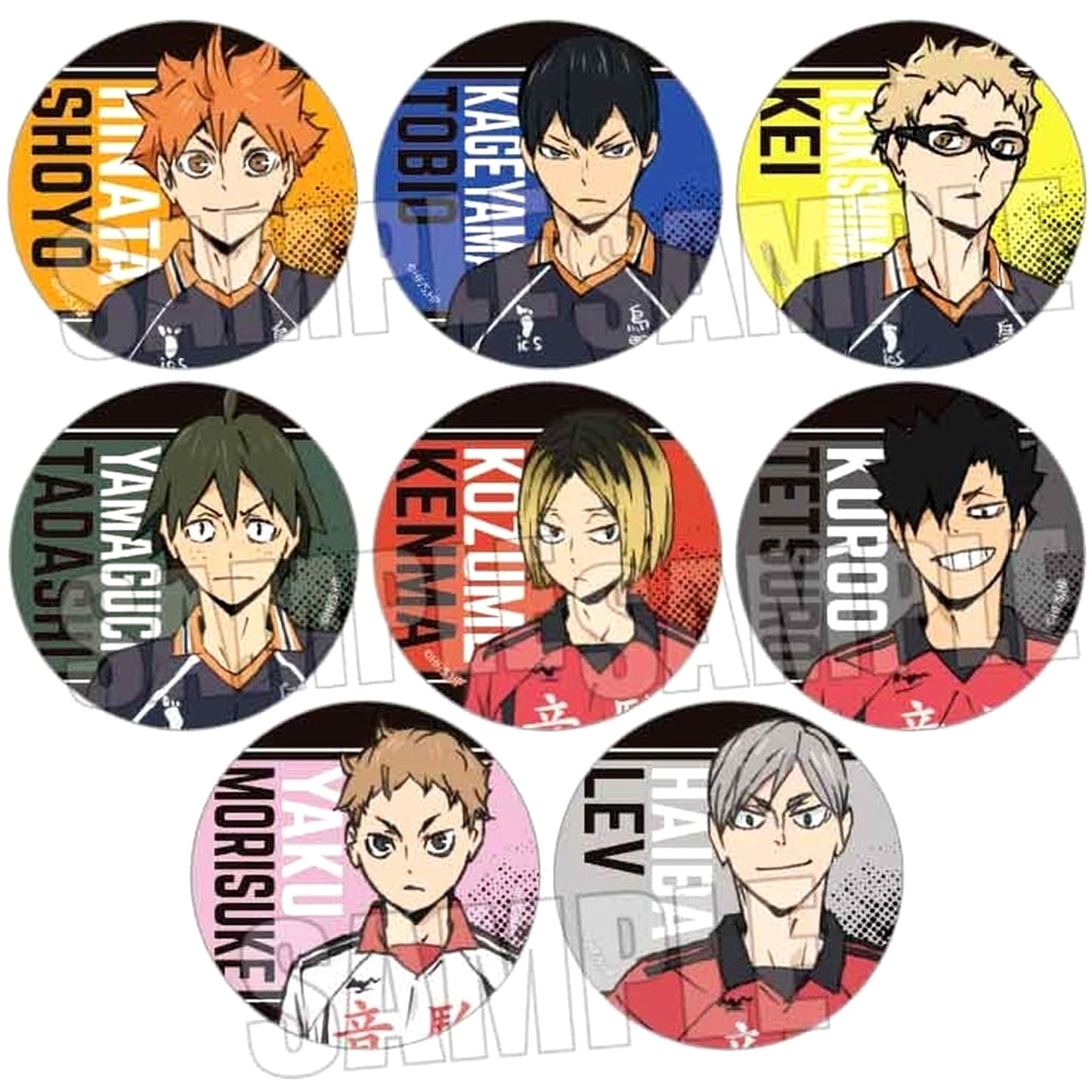 Shoyo Hinata & Others Haikyu!! All 8 Types Set Random Button [USED]