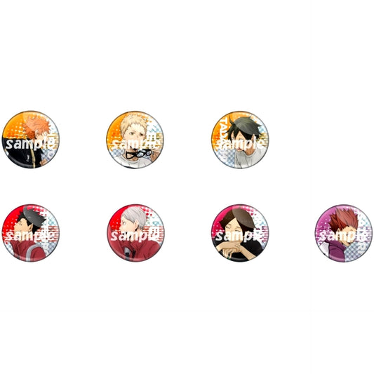 Set of 7 Middle Blockers Haikyu!! Glitter Button [USED]