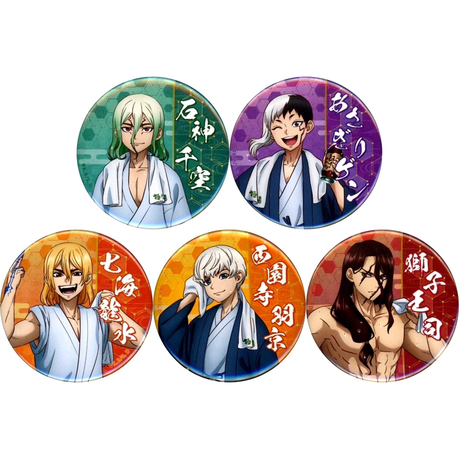 Set of 5 All Characters Dr. STONE Gokurakuyu RAKU SPA SENTO WORLD Trading Button Onsen Ver. [USED]