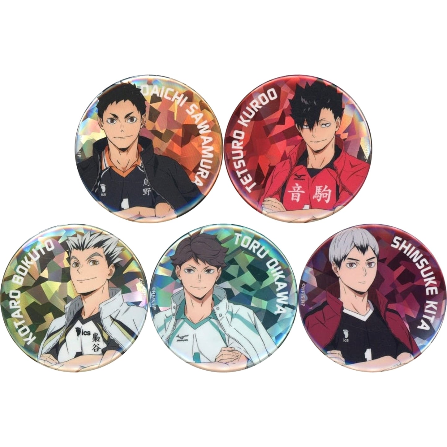 Daichi Sawamura & Others Haikyu!! All 5 Types Set Trading Hologram Button Captain Ver. [USED]