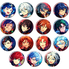 Set of 15 Group Ensemble Stars!! Collection Button 2024 Aug. Idol Side [USED]